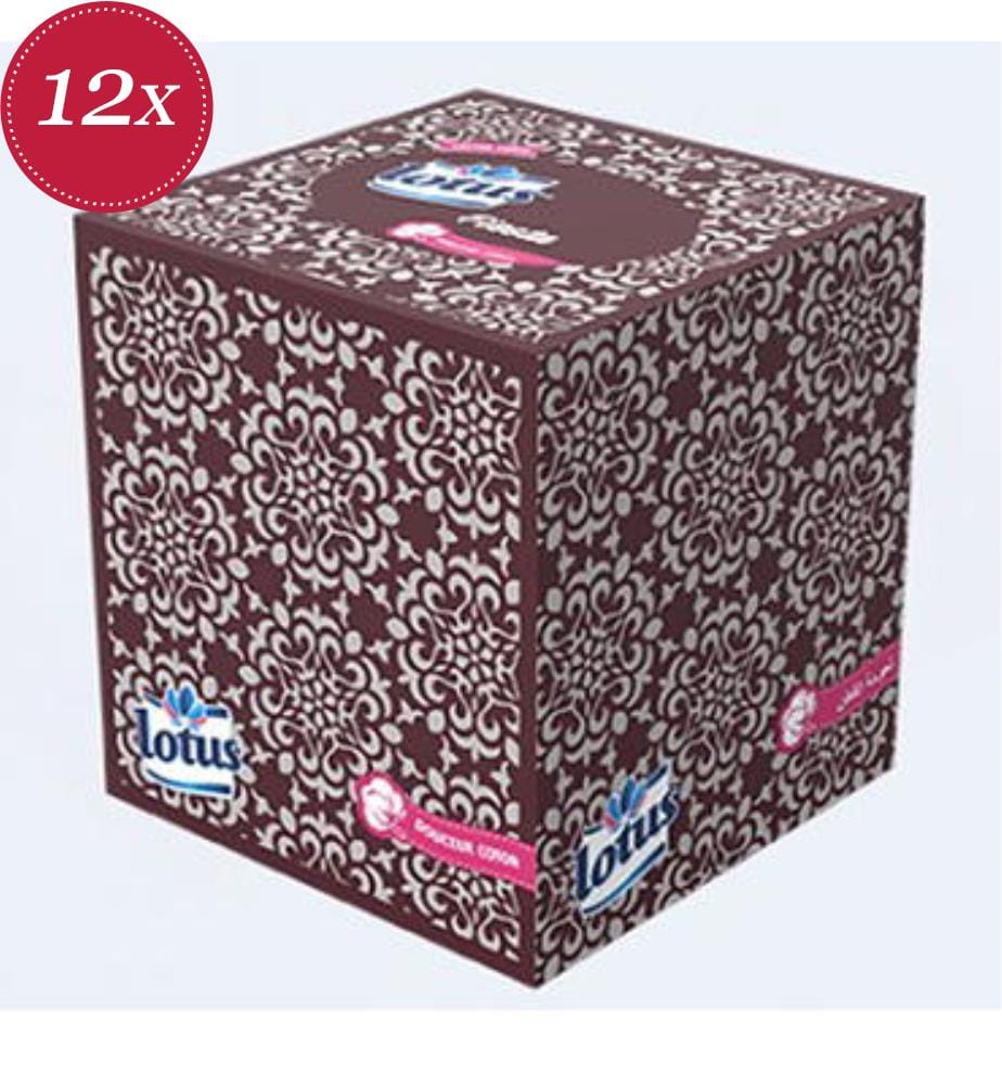 Lotus Mouchoirs 80 Pcs Fiesta 2 Plis Lot De 12 Hygiene Care Bathroom Home