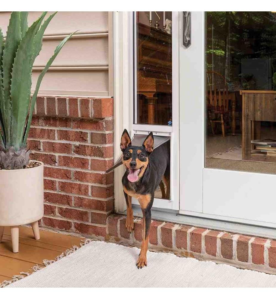 PetSafe Pet Door: Perfectly Sized for Dogs & Cats of All Sizes