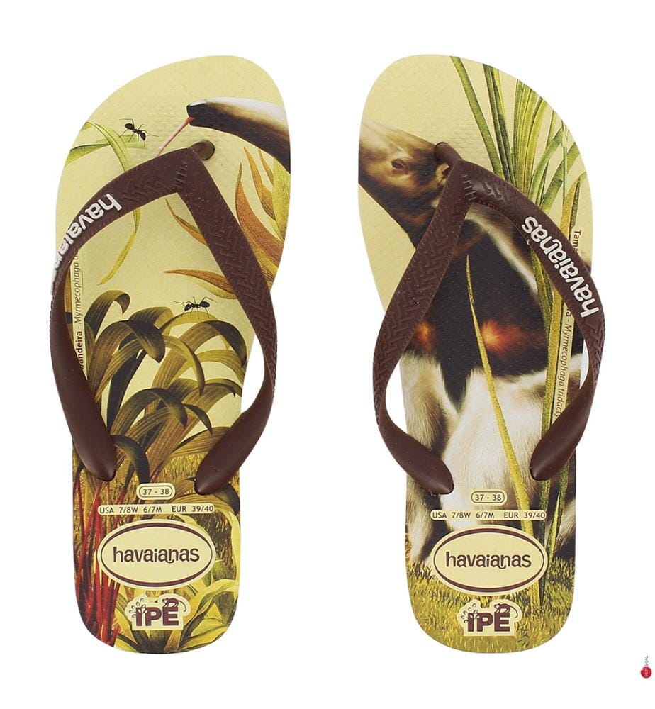 Havaianas Flip Flops IPE Brown and Black My Store