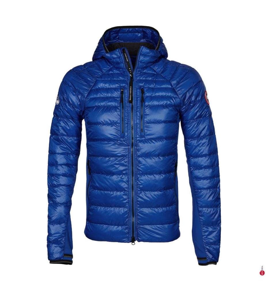 Canada goose hybridge blue top